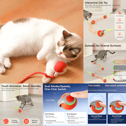 Tail Ball Interactive Cat Toy With Touch Activation